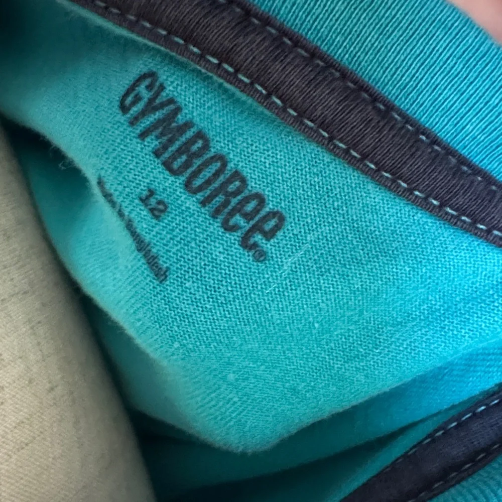 🫎 Gymboree Moose Graphic Teal Long Sleeve Tee in 100% Cotton